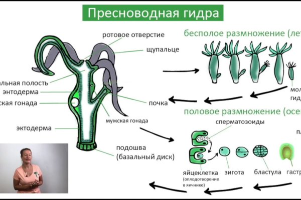 Кракен это что за магазин