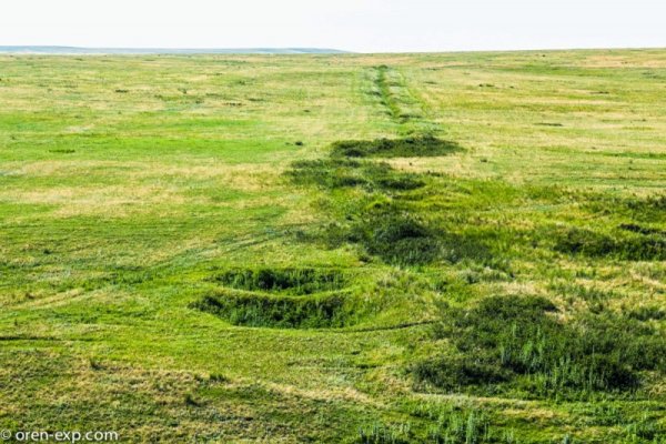 Кракен шеринг