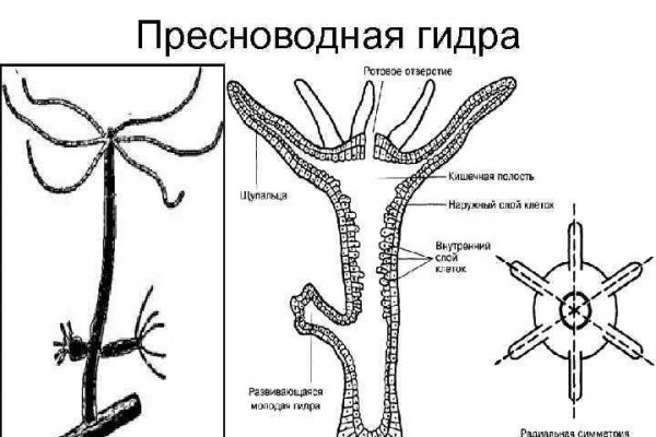 Главная страница кракен