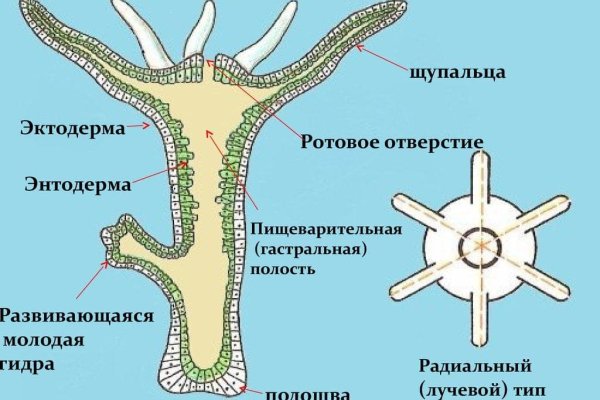 Кракен даркнет текст